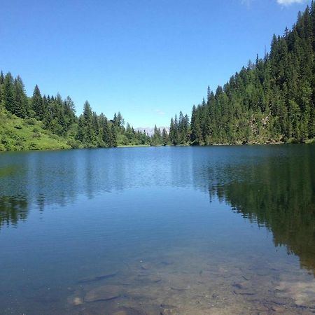 Ferienhaus Strasser Ramsau am Dachstein Zewnętrze zdjęcie